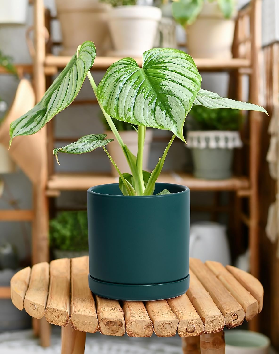 D'vine Dev 4.7 Inch Ceramic Planter Pot with Drainage Hole and Saucer, Indoor Cylinder Round Planter Pot, Teal, 94-O-B-9