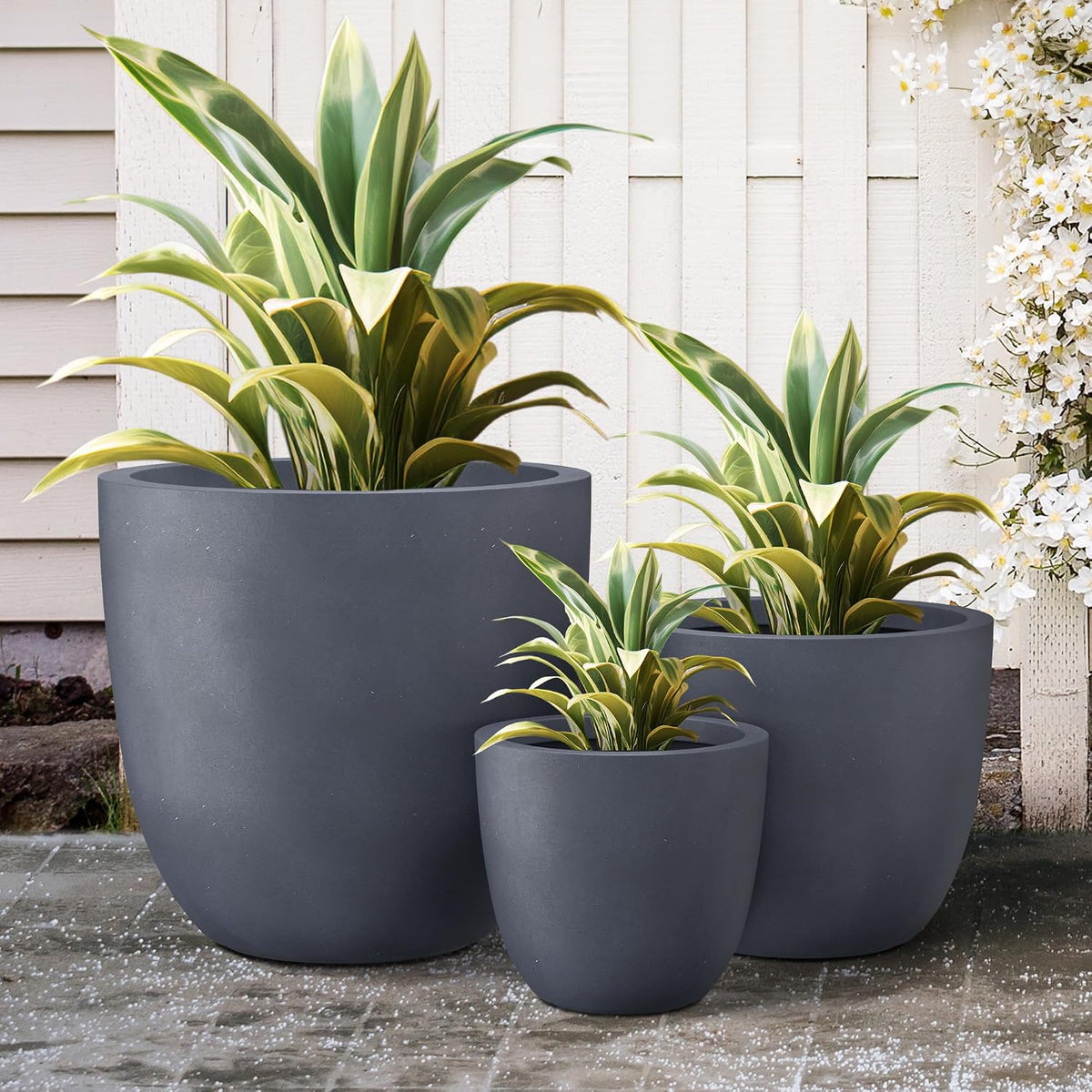 Kante 8.9" H x 10" W Small Concrete Planter, Compact Desktop Plant Pot with Drainage Hole & Rubber Plug – Lightweight Breathable Cement Container for Succulents, Cactus, Herbs, Indoor Outdoor, Gift