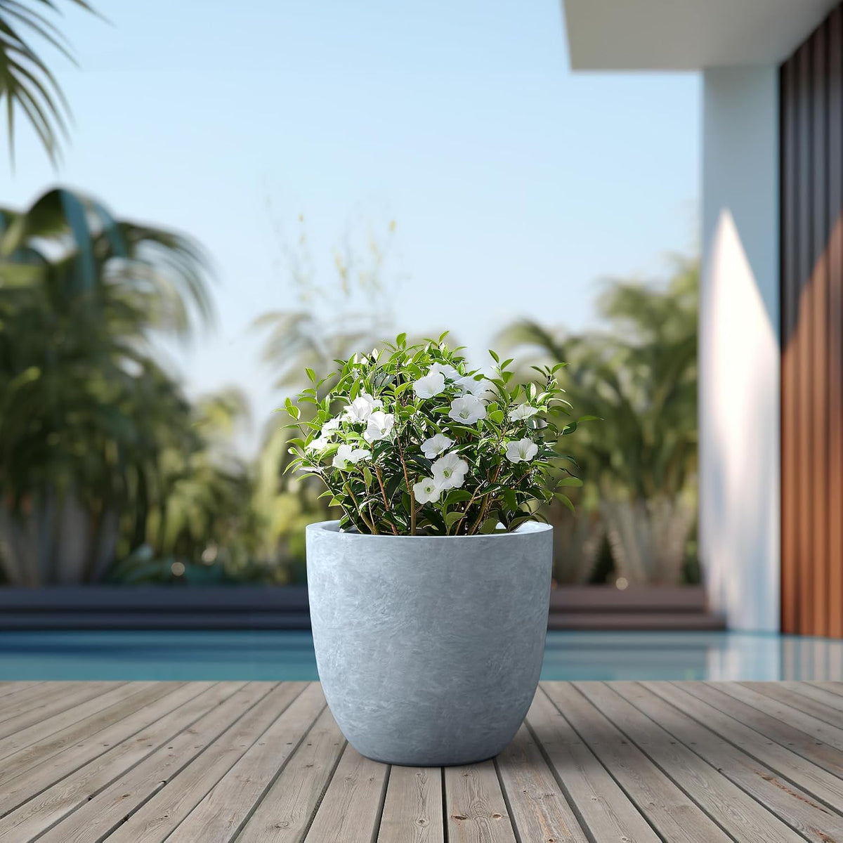 Kante 8.9" H x 10" W Small Concrete Planter, Compact Desktop Plant Pot with Drainage Hole & Rubber Plug – Lightweight Breathable Cement Container for Succulents, Cactus, Herbs, Indoor Outdoor, Gift