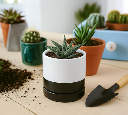 D'vine Dev 4.7 Inch Ceramic Planter Pot with Drainage Hole and Saucer, Indoor Cylinder Round Planter Pot, Teal, 94-O-B-9