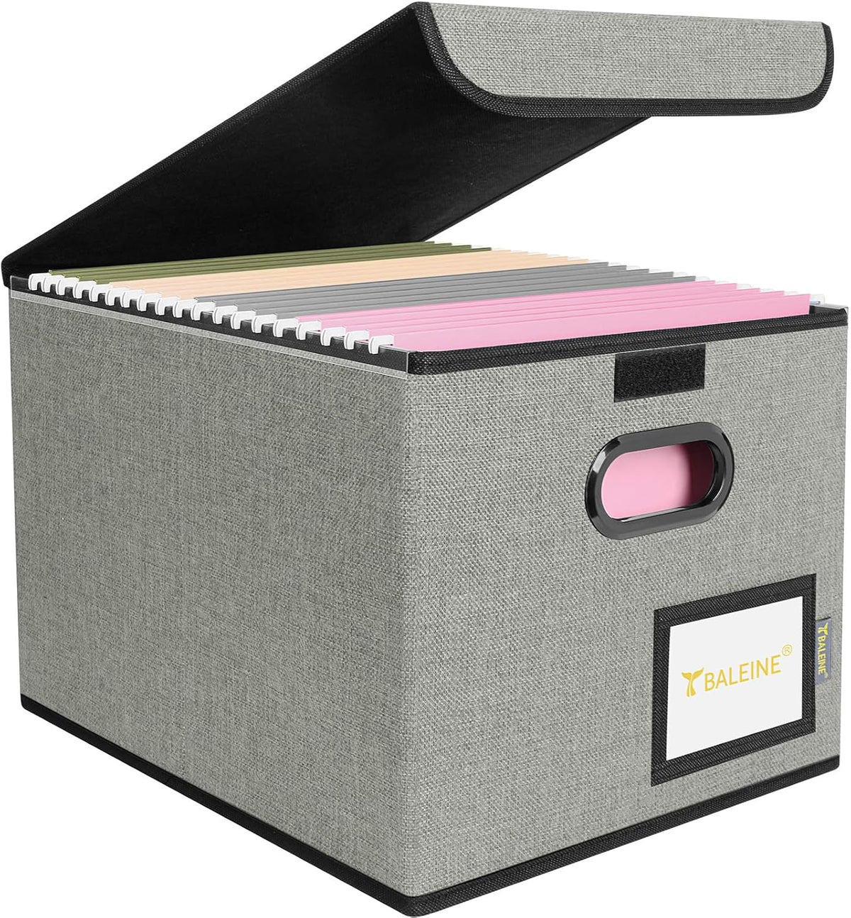 BALEINE File Organizer Box with Lid, Collapsible File Folder Organizer with Plastic Slide, Hanging File Folder Box for Office Document Storage (Black)
