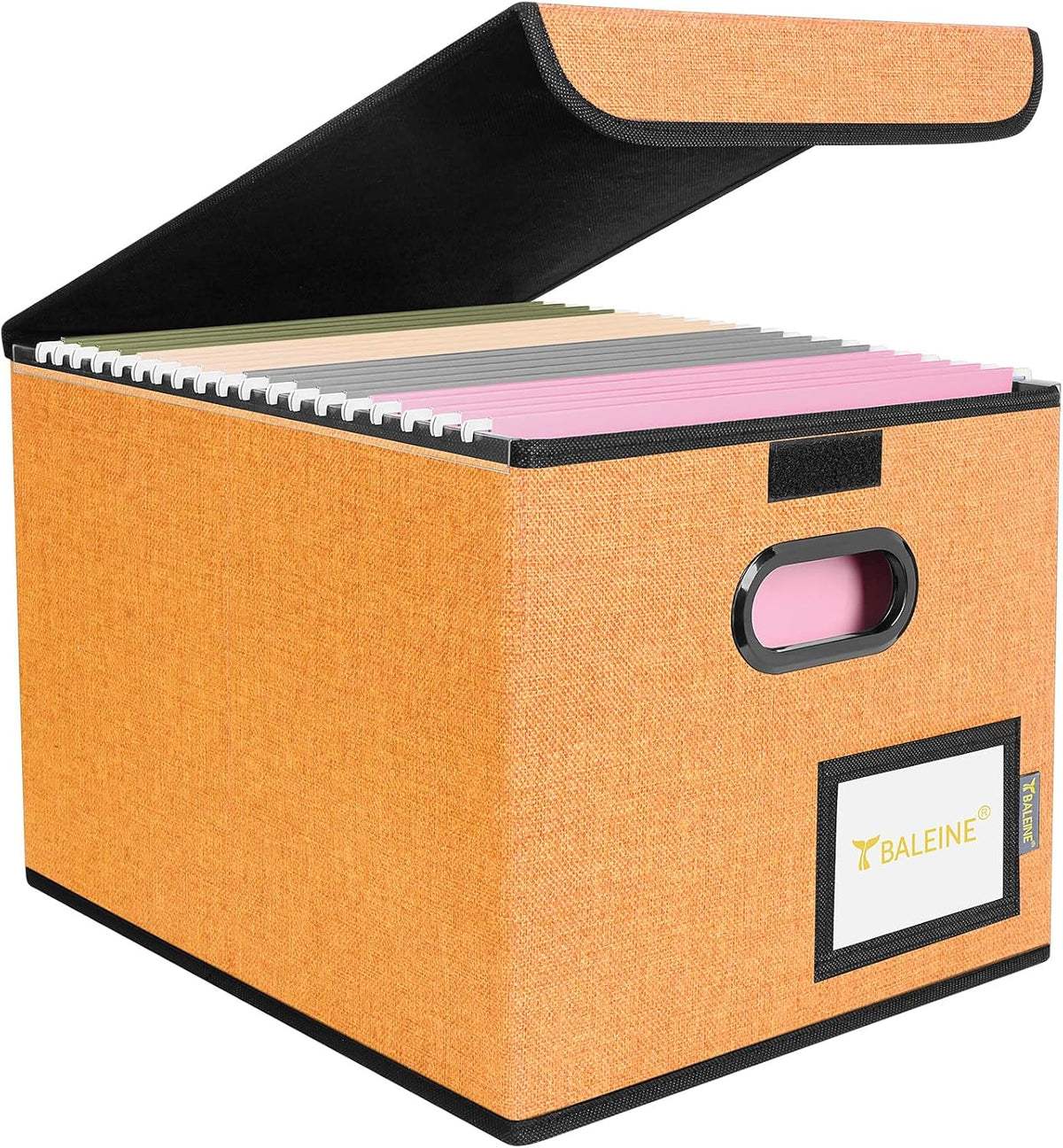 BALEINE File Organizer Box with Lid, Collapsible File Folder Organizer with Plastic Slide, Hanging File Folder Box for Office Document Storage (Black)