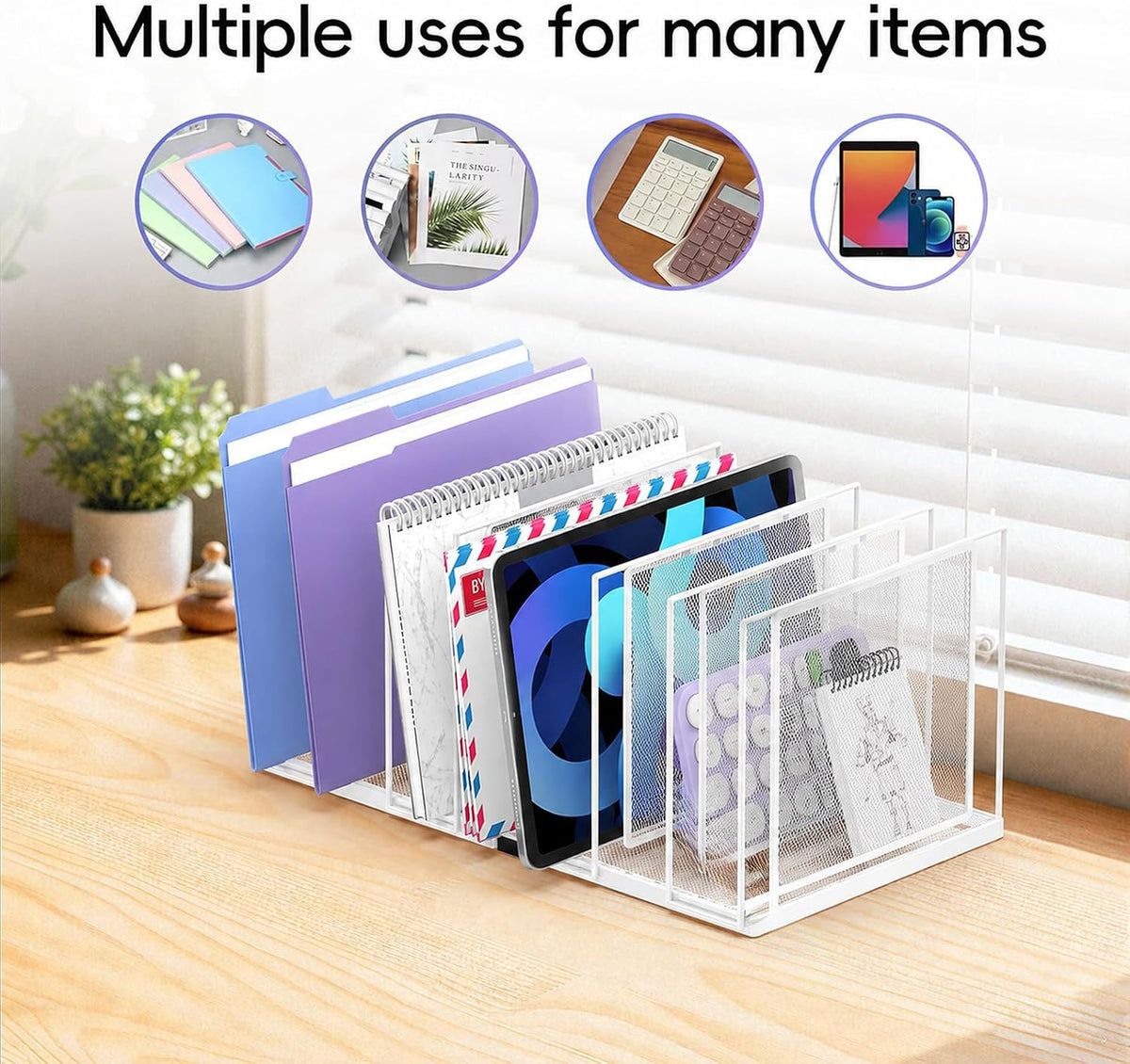 File Organizer for Desk, 5-Section Vertical File Sorter, Paper Holder Organizer Standing Metal File Folder for Office Home Classroom, Black