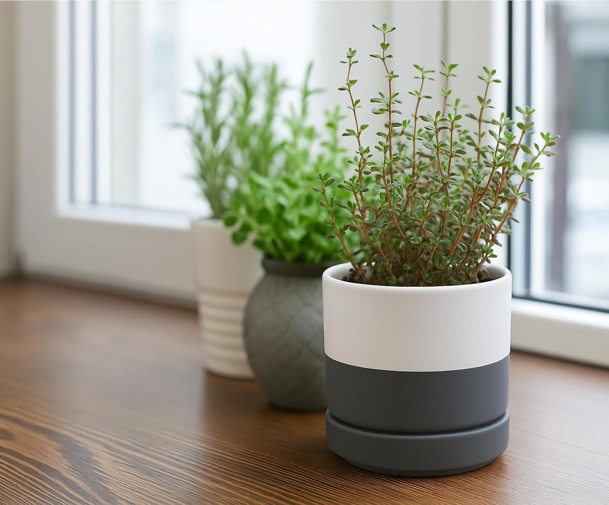 D'vine Dev 4.7 Inch Ceramic Planter Pot with Drainage Hole and Saucer, Indoor Cylinder Round Planter Pot, Teal, 94-O-B-9
