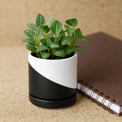 D'vine Dev 4.7 Inch Ceramic Planter Pot with Drainage Hole and Saucer, Indoor Cylinder Round Planter Pot, Teal, 94-O-B-9