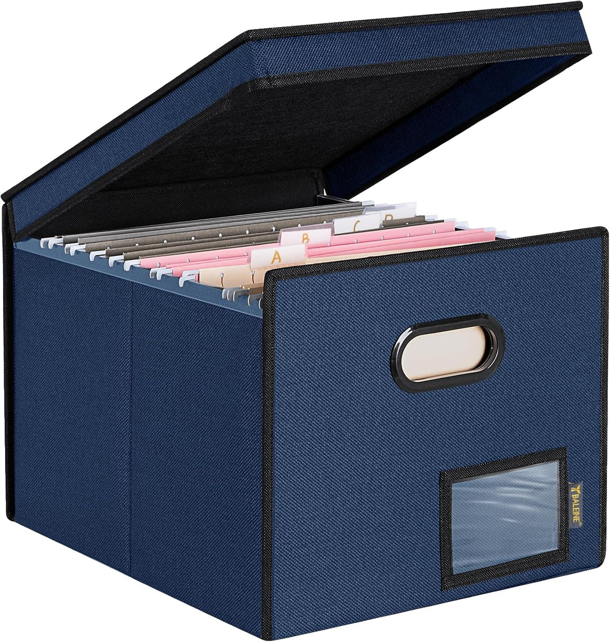 BALEINE File Organizer Box with Lid, Collapsible File Folder Organizer with Plastic Slide, Hanging File Folder Box for Office Document Storage (Black)