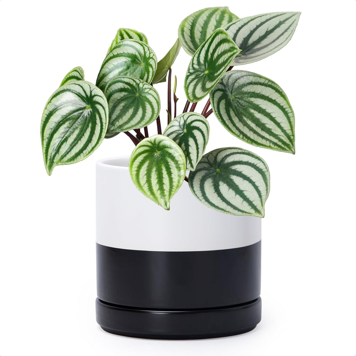 D'vine Dev 4.7 Inch Ceramic Planter Pot with Drainage Hole and Saucer, Indoor Cylinder Round Planter Pot, Teal, 94-O-B-9