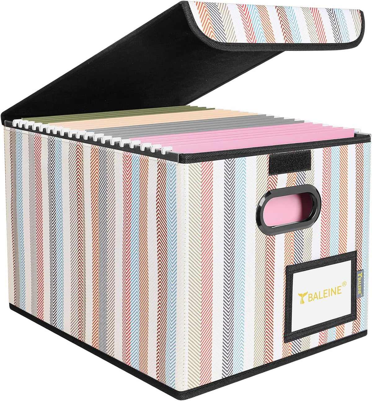 BALEINE File Organizer Box with Lid, Collapsible File Folder Organizer with Plastic Slide, Hanging File Folder Box for Office Document Storage (Black)