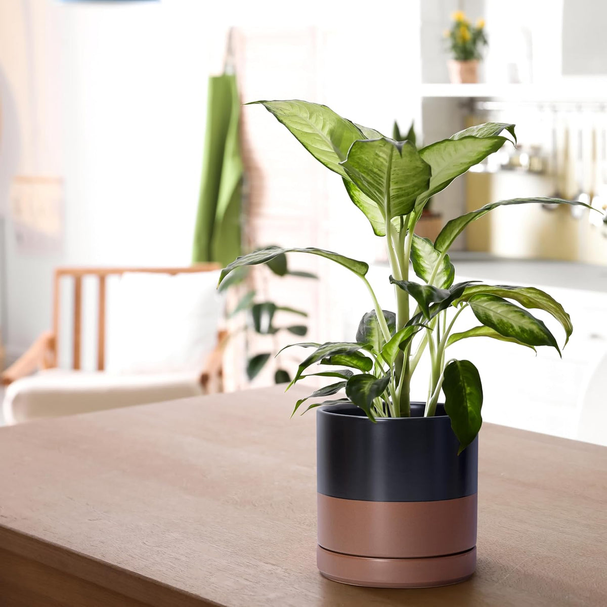 D'vine Dev 4.7 Inch Ceramic Planter Pot with Drainage Hole and Saucer, Indoor Cylinder Round Planter Pot, Teal, 94-O-B-9