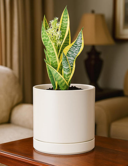 D'vine Dev 4.7 Inch Ceramic Planter Pot with Drainage Hole and Saucer, Indoor Cylinder Round Planter Pot, Teal, 94-O-B-9