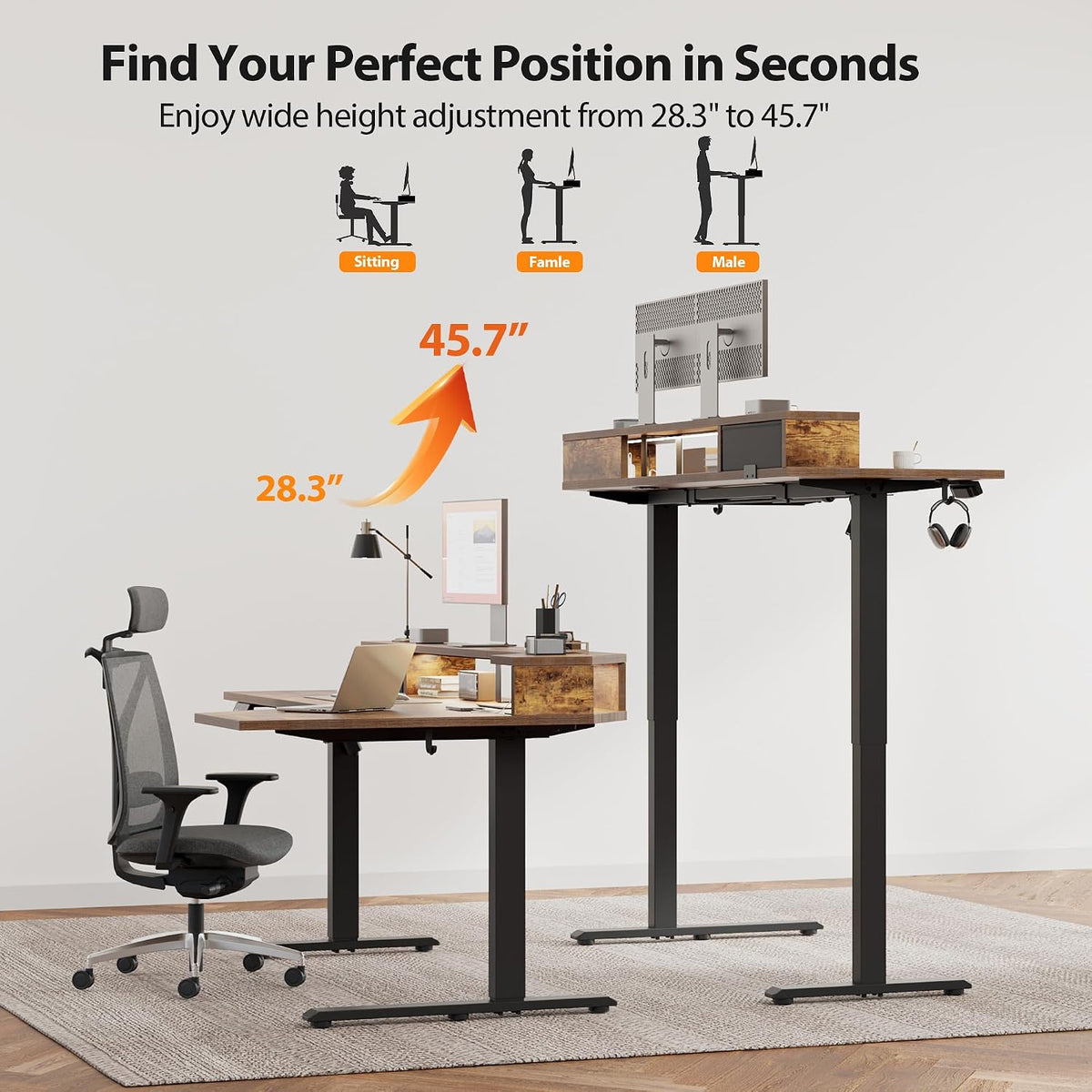 48 * 24 Inch Electric Standing Desk with Shelf & Led, Dark Walnut