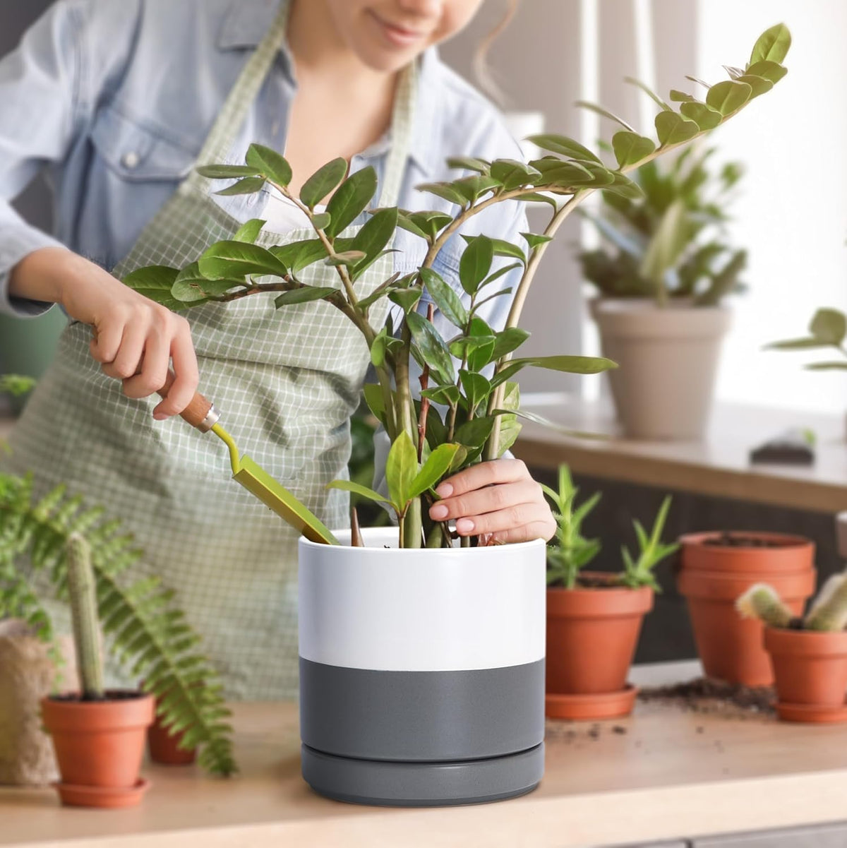 D'vine Dev 4.7 Inch Ceramic Planter Pot with Drainage Hole and Saucer, Indoor Cylinder Round Planter Pot, Teal, 94-O-B-9