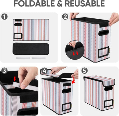 BALEINE File Organizer Box with Lid, Collapsible File Folder Organizer with Plastic Slide, Hanging File Folder Box for Office Document Storage (Black)