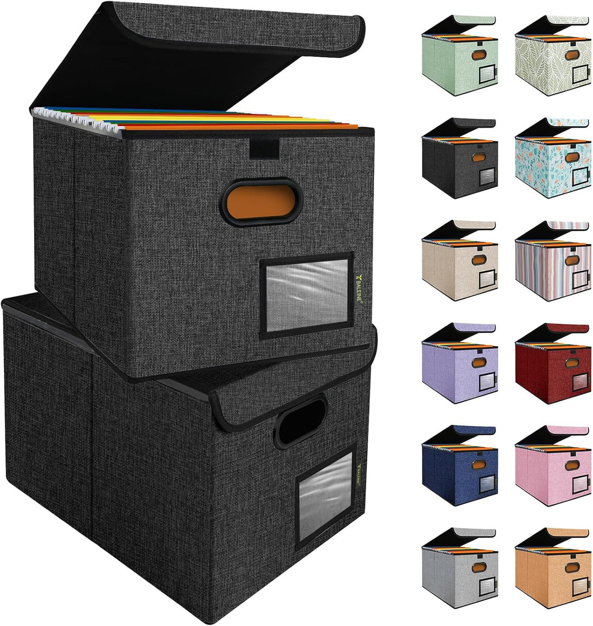 BALEINE File Organizer Box with Lid, Collapsible File Folder Organizer with Plastic Slide, Hanging File Folder Box for Office Document Storage (Black)