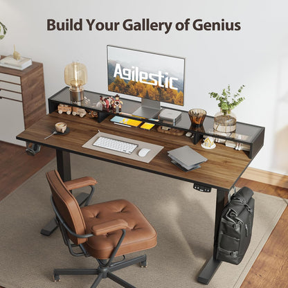48 * 24 Inch Electric Standing Desk with Shelf & Led, Dark Walnut