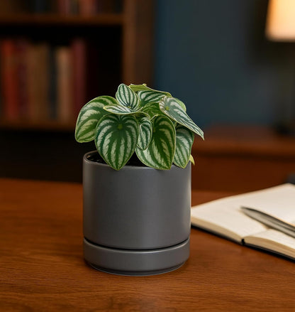 D'vine Dev 4.7 Inch Ceramic Planter Pot with Drainage Hole and Saucer, Indoor Cylinder Round Planter Pot, Teal, 94-O-B-9