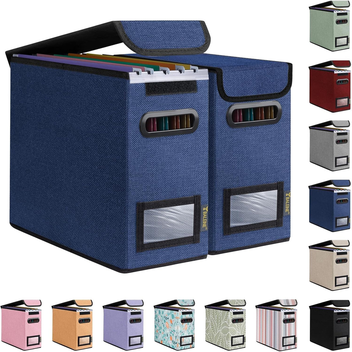 BALEINE File Organizer Box with Lid, Collapsible File Folder Organizer with Plastic Slide, Hanging File Folder Box for Office Document Storage (Black)