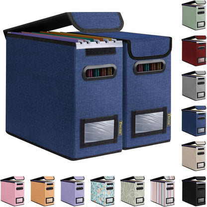 BALEINE File Organizer Box with Lid, Collapsible File Folder Organizer with Plastic Slide, Hanging File Folder Box for Office Document Storage (Black)