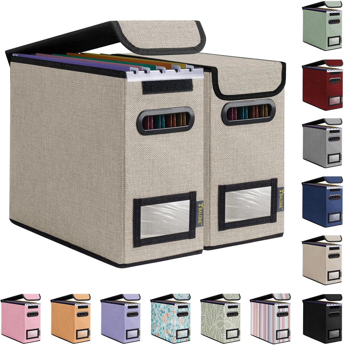 BALEINE File Organizer Box with Lid, Collapsible File Folder Organizer with Plastic Slide, Hanging File Folder Box for Office Document Storage (Black)