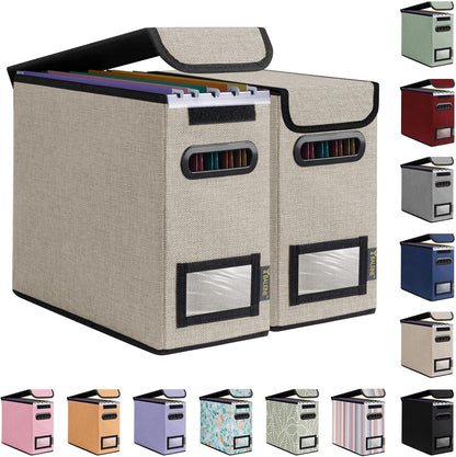 BALEINE File Organizer Box with Lid, Collapsible File Folder Organizer with Plastic Slide, Hanging File Folder Box for Office Document Storage (Black)