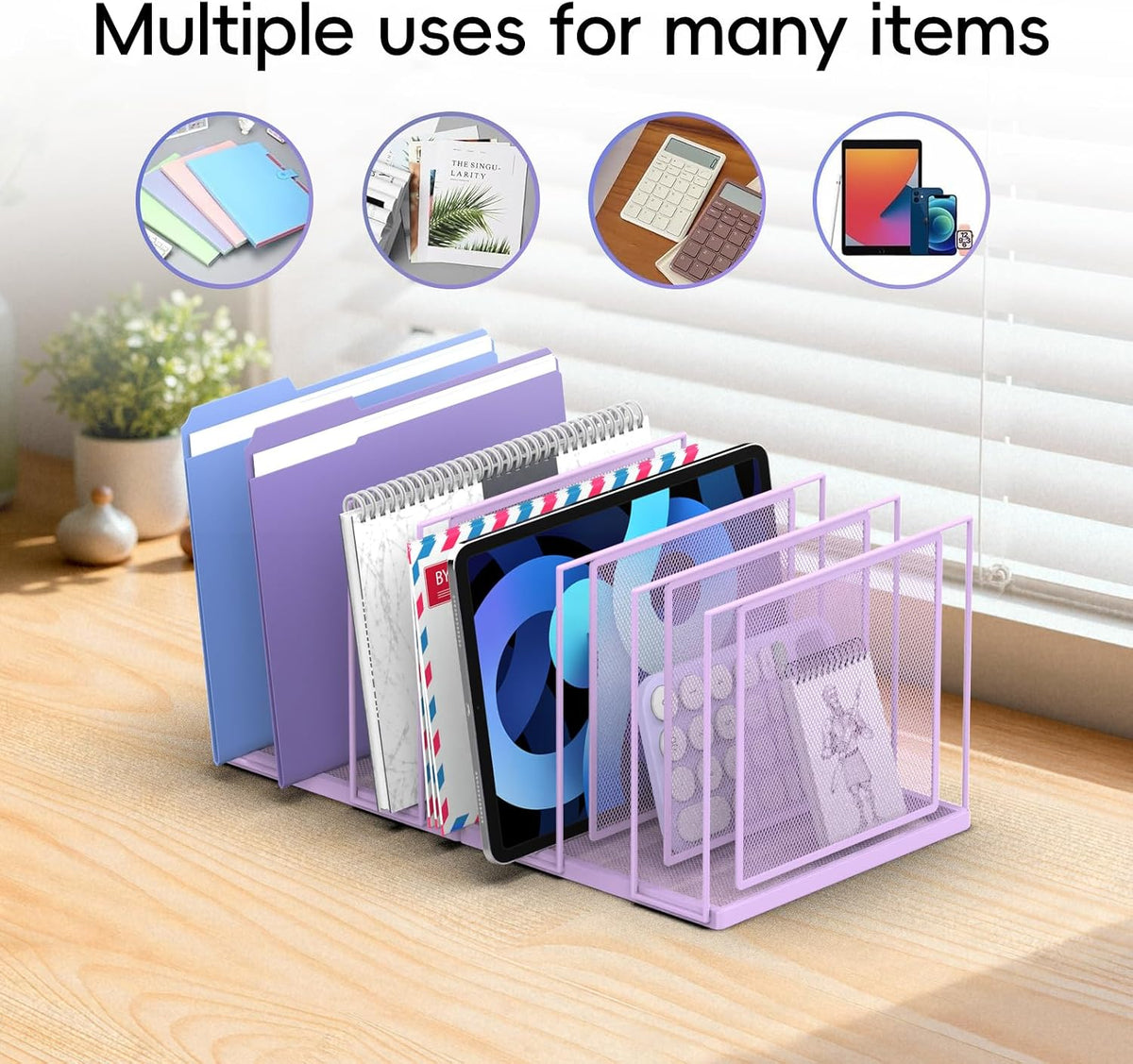 File Organizer for Desk, 5-Section Vertical File Sorter, Paper Holder Organizer Standing Metal File Folder for Office Home Classroom, Black