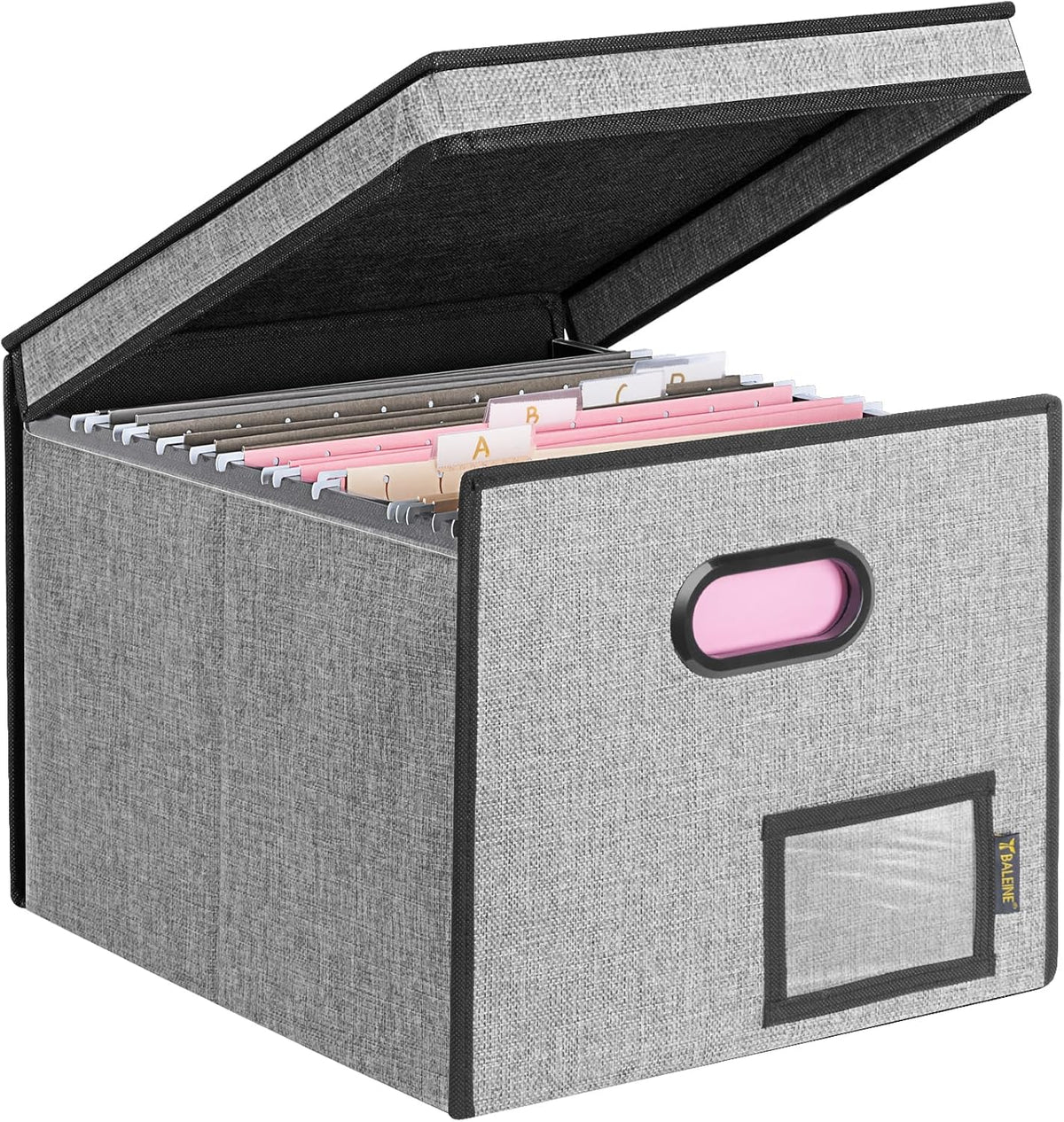BALEINE File Organizer Box with Lid, Collapsible File Folder Organizer with Plastic Slide, Hanging File Folder Box for Office Document Storage (Black)