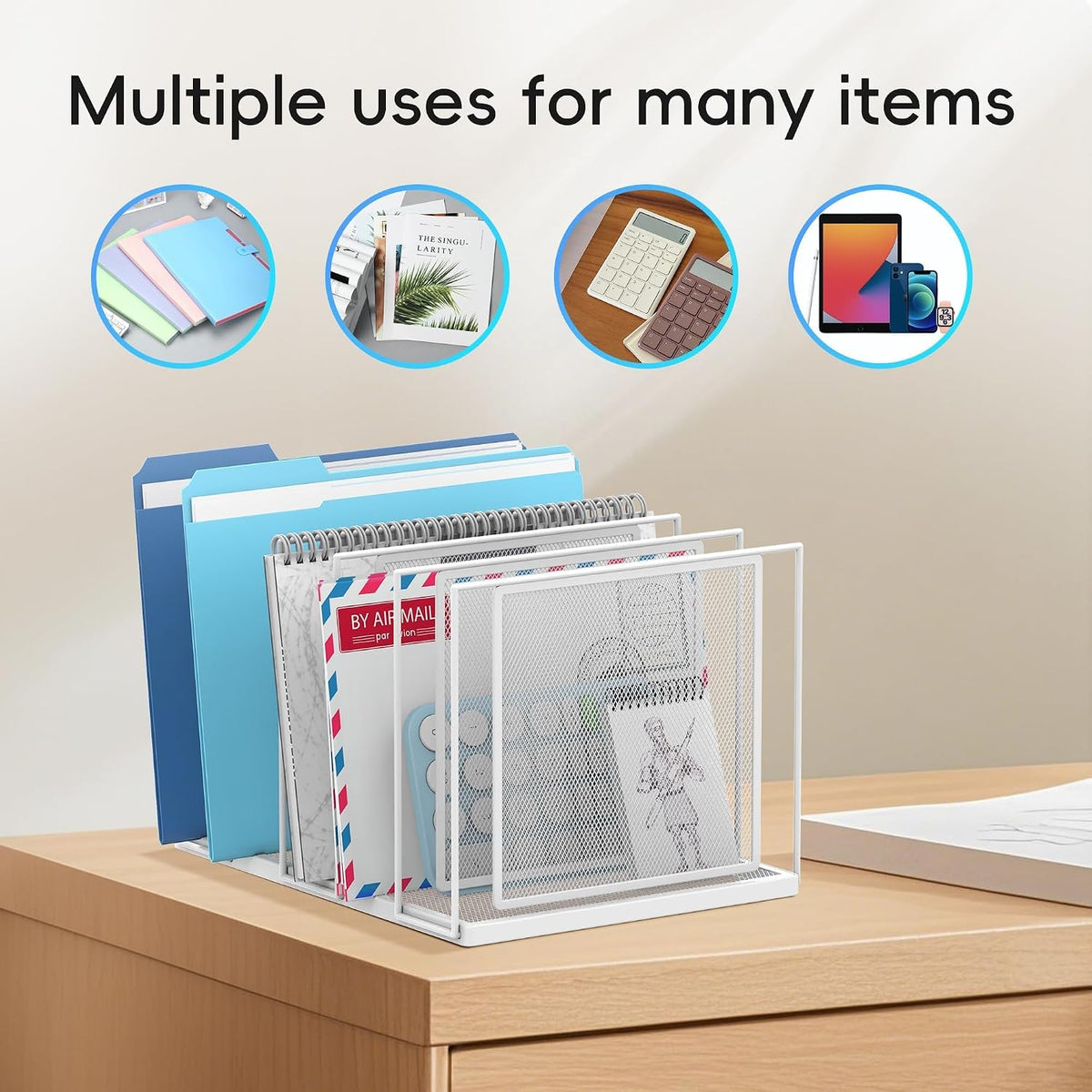 File Organizer for Desk, 5-Section Vertical File Sorter, Paper Holder Organizer Standing Metal File Folder for Office Home Classroom, Black
