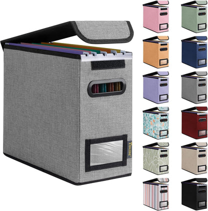 BALEINE File Organizer Box with Lid, Collapsible File Folder Organizer with Plastic Slide, Hanging File Folder Box for Office Document Storage (Black)