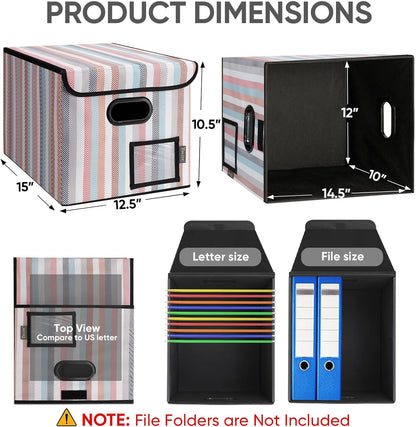 BALEINE File Organizer Box with Lid, Collapsible File Folder Organizer with Plastic Slide, Hanging File Folder Box for Office Document Storage (Black)