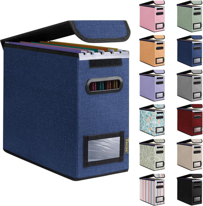 BALEINE File Organizer Box with Lid, Collapsible File Folder Organizer with Plastic Slide, Hanging File Folder Box for Office Document Storage (Black)