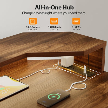 48 * 24 Inch Electric Standing Desk with Shelf & Led, Dark Walnut
