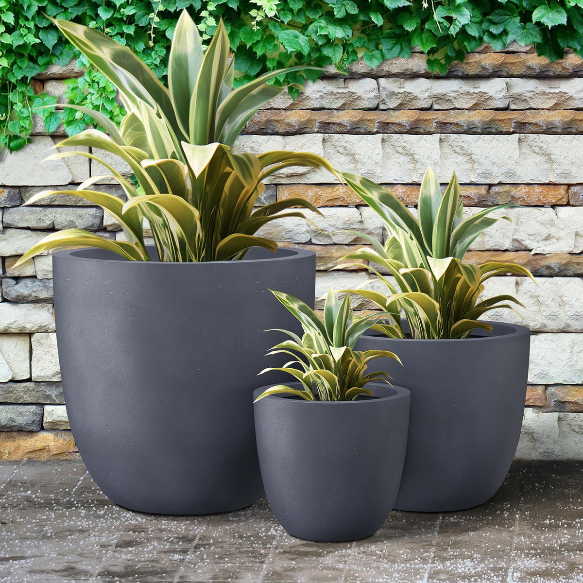 Kante 8.9" H x 10" W Small Concrete Planter, Compact Desktop Plant Pot with Drainage Hole & Rubber Plug – Lightweight Breathable Cement Container for Succulents, Cactus, Herbs, Indoor Outdoor, Gift