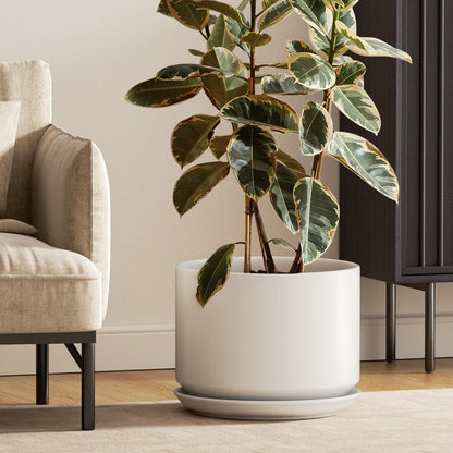 LE TAUCI Ceramic Pots for Plants, 6.8 Inch Plant Pots with Drainage Hole & Saucer, Modern Planter for Indoor Plants, Stable & Durable, Perfect for Living Room or Office Decor, White