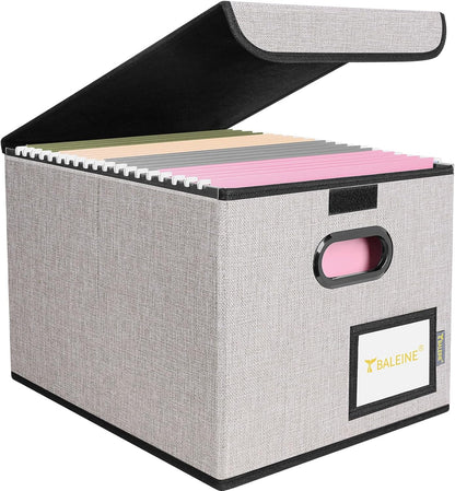 BALEINE File Organizer Box with Lid, Collapsible File Folder Organizer with Plastic Slide, Hanging File Folder Box for Office Document Storage (Black)