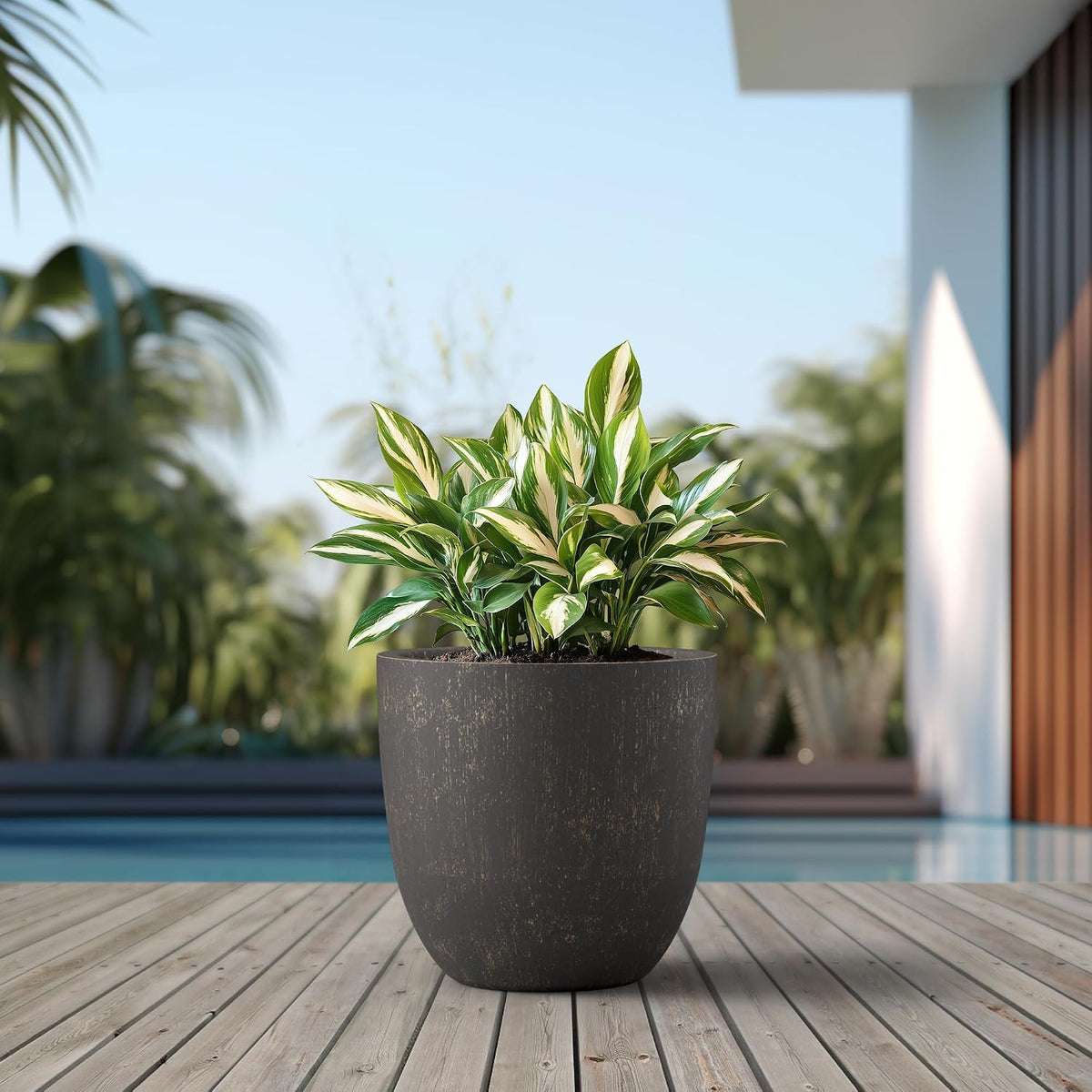 Kante 8.9" H x 10" W Small Concrete Planter, Compact Desktop Plant Pot with Drainage Hole & Rubber Plug – Lightweight Breathable Cement Container for Succulents, Cactus, Herbs, Indoor Outdoor, Gift