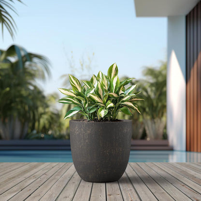 Kante 8.9" H x 10" W Small Concrete Planter, Compact Desktop Plant Pot with Drainage Hole & Rubber Plug – Lightweight Breathable Cement Container for Succulents, Cactus, Herbs, Indoor Outdoor, Gift