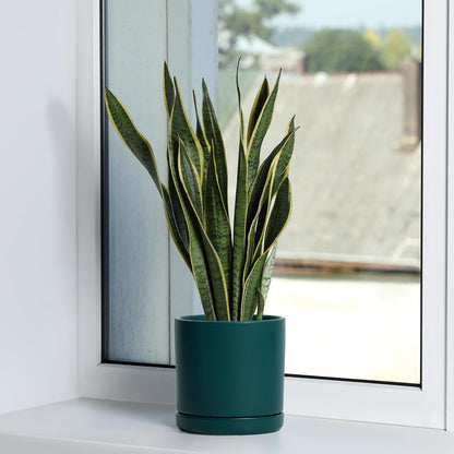 D'vine Dev 4.7 Inch Ceramic Planter Pot with Drainage Hole and Saucer, Indoor Cylinder Round Planter Pot, Teal, 94-O-B-9