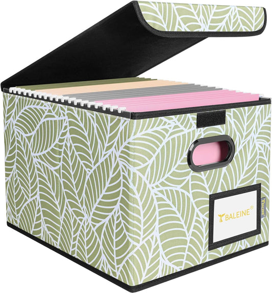 BALEINE File Organizer Box with Lid, Collapsible File Folder Organizer with Plastic Slide, Hanging File Folder Box for Office Document Storage (Black)