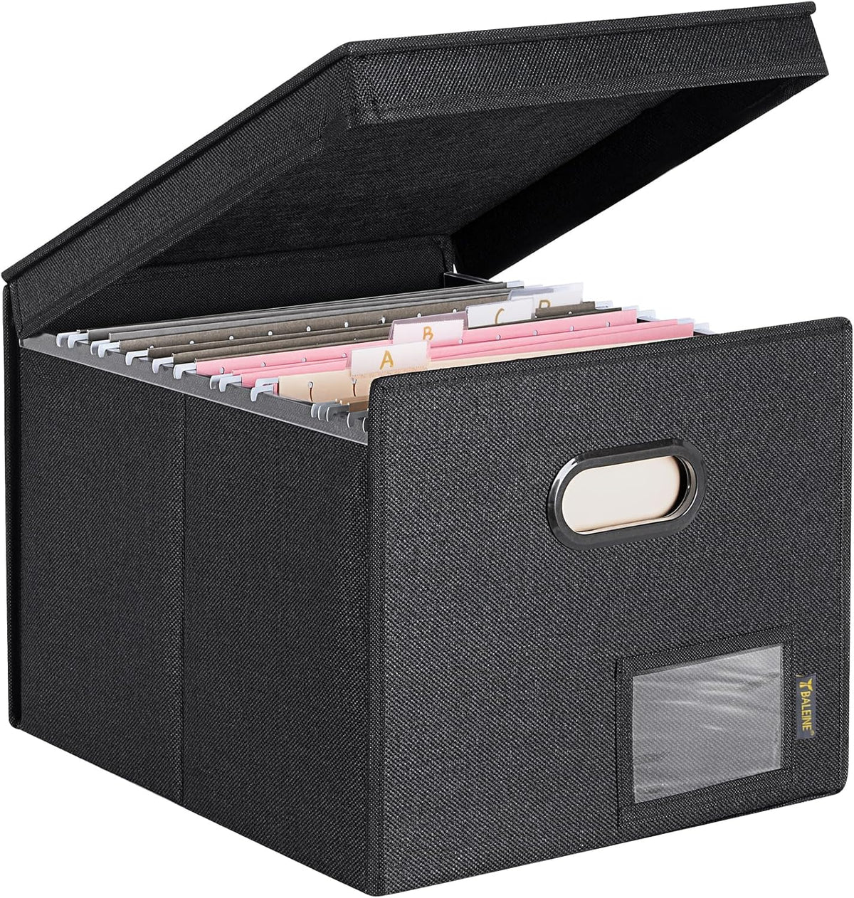 BALEINE File Organizer Box with Lid, Collapsible File Folder Organizer with Plastic Slide, Hanging File Folder Box for Office Document Storage (Black)