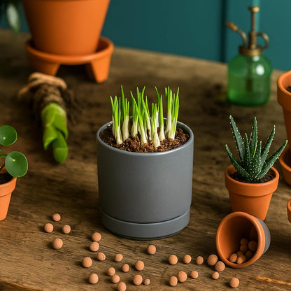 D'vine Dev 4.7 Inch Ceramic Planter Pot with Drainage Hole and Saucer, Indoor Cylinder Round Planter Pot, Teal, 94-O-B-9