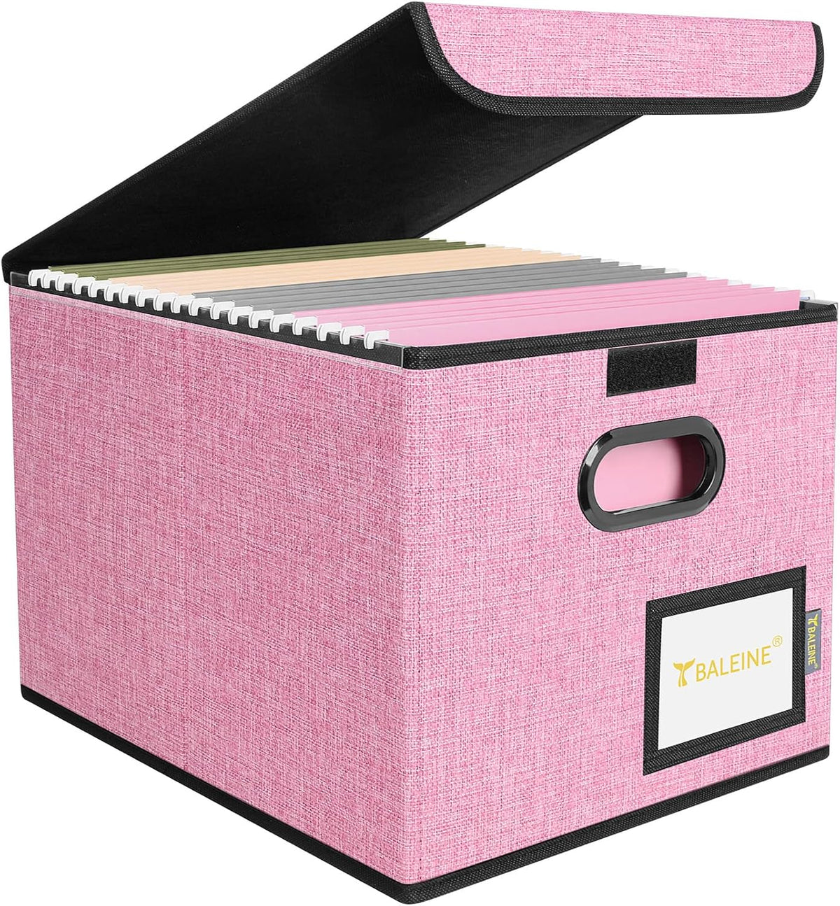 BALEINE File Organizer Box with Lid, Collapsible File Folder Organizer with Plastic Slide, Hanging File Folder Box for Office Document Storage (Black)