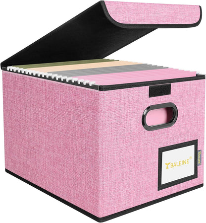 BALEINE File Organizer Box with Lid, Collapsible File Folder Organizer with Plastic Slide, Hanging File Folder Box for Office Document Storage (Black)