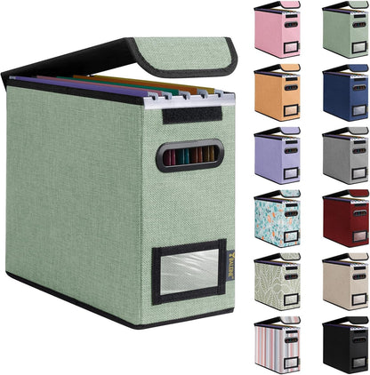 BALEINE File Organizer Box with Lid, Collapsible File Folder Organizer with Plastic Slide, Hanging File Folder Box for Office Document Storage (Black)