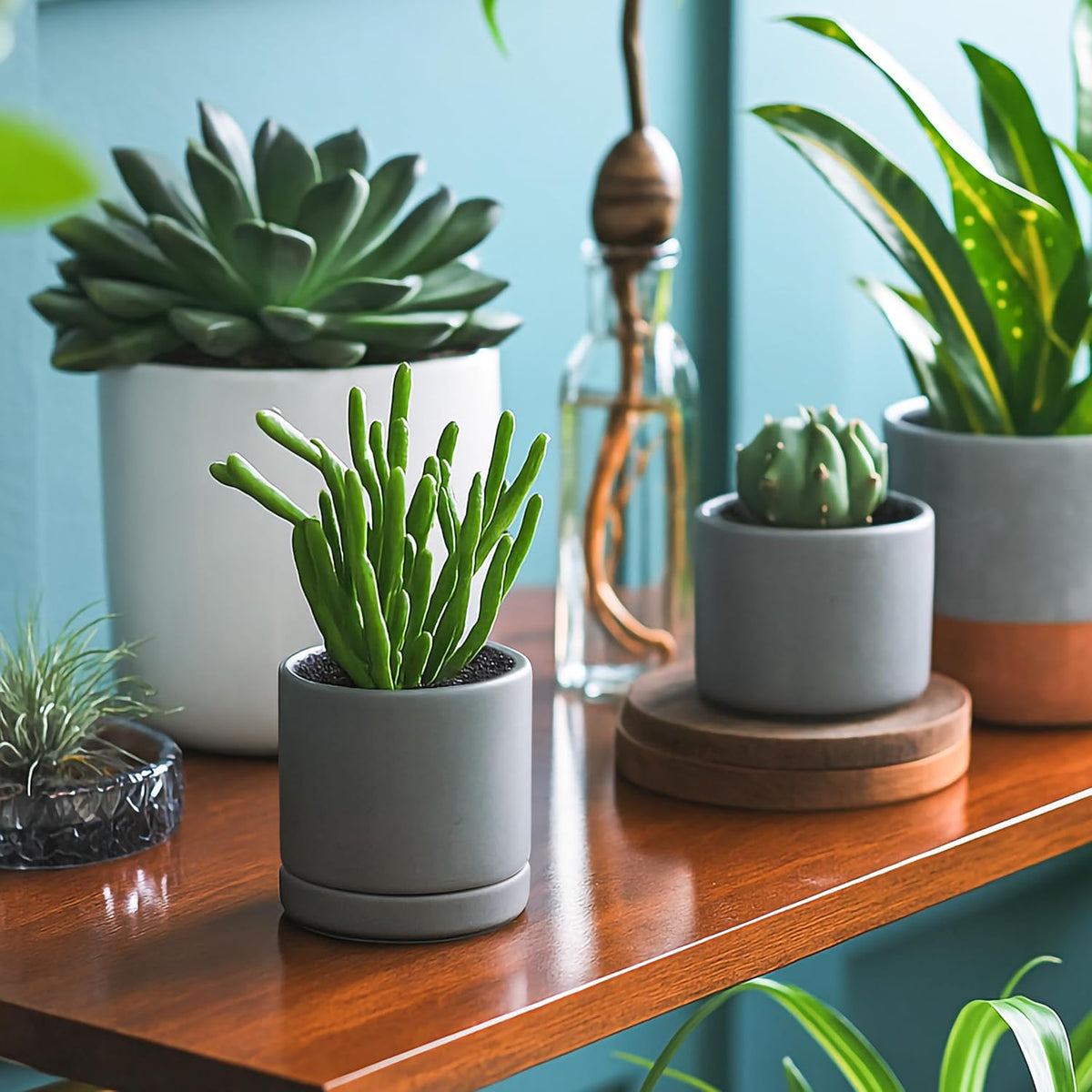 D'vine Dev 4.7 Inch Ceramic Planter Pot with Drainage Hole and Saucer, Indoor Cylinder Round Planter Pot, Teal, 94-O-B-9