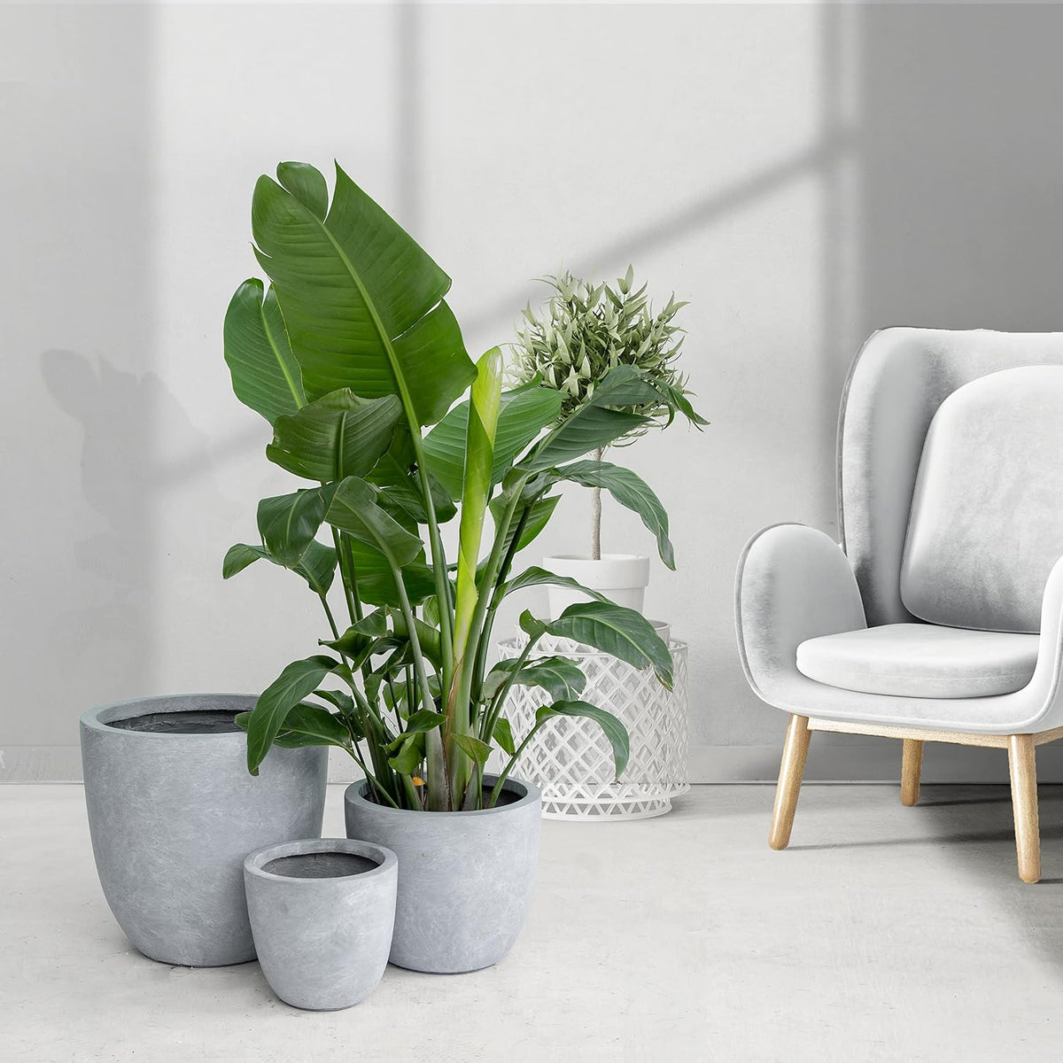 Kante 8.9" H x 10" W Small Concrete Planter, Compact Desktop Plant Pot with Drainage Hole & Rubber Plug – Lightweight Breathable Cement Container for Succulents, Cactus, Herbs, Indoor Outdoor, Gift