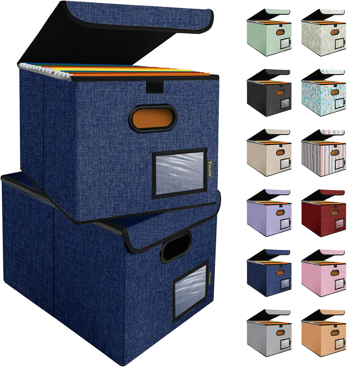 BALEINE File Organizer Box with Lid, Collapsible File Folder Organizer with Plastic Slide, Hanging File Folder Box for Office Document Storage (Black)