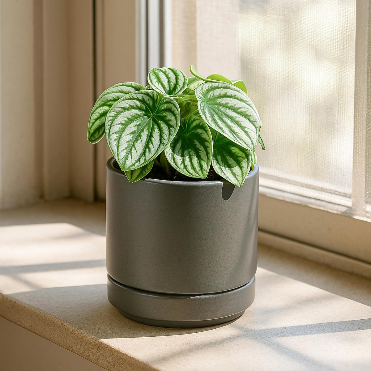 D'vine Dev 4.7 Inch Ceramic Planter Pot with Drainage Hole and Saucer, Indoor Cylinder Round Planter Pot, Teal, 94-O-B-9