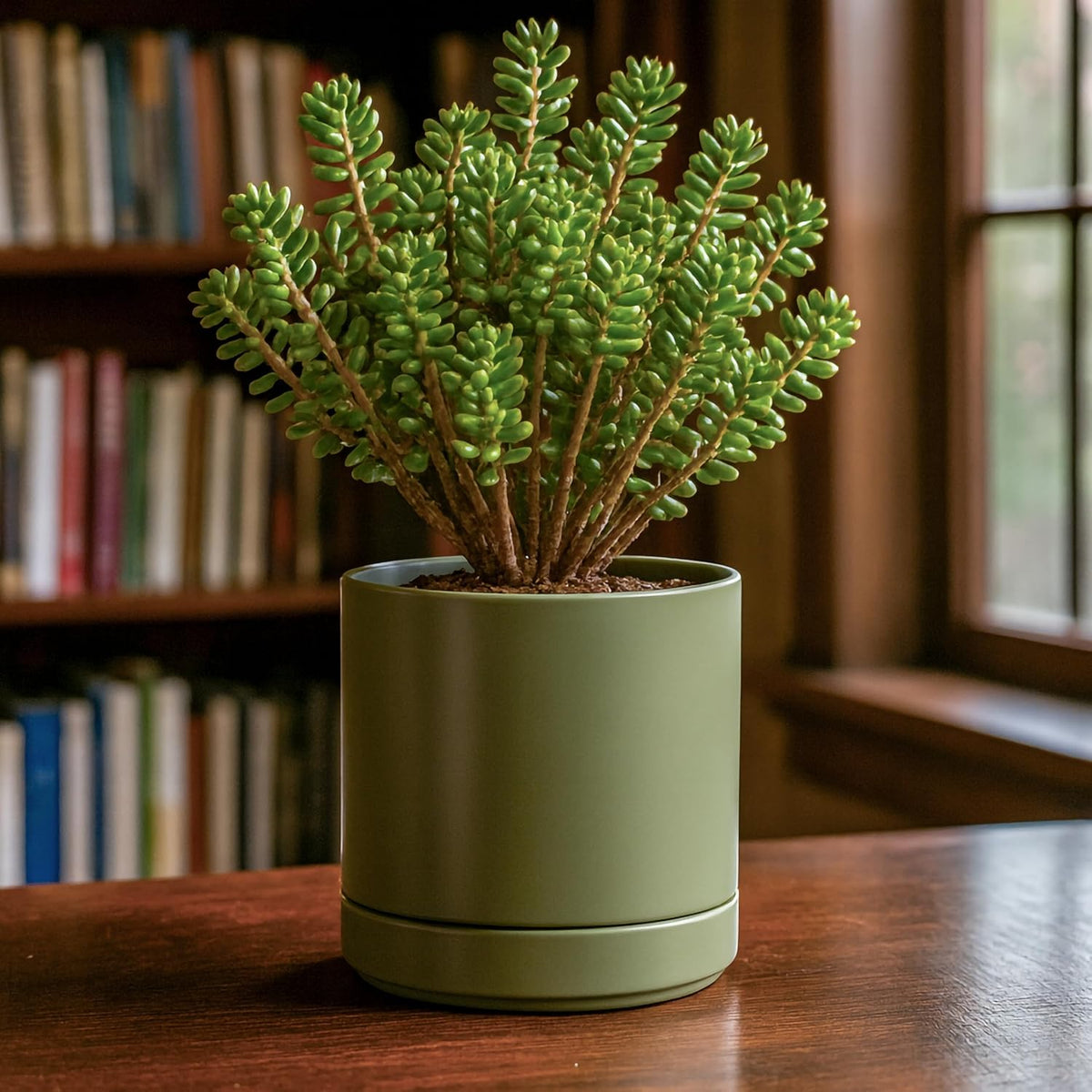 D'vine Dev 4.7 Inch Ceramic Planter Pot with Drainage Hole and Saucer, Indoor Cylinder Round Planter Pot, Teal, 94-O-B-9