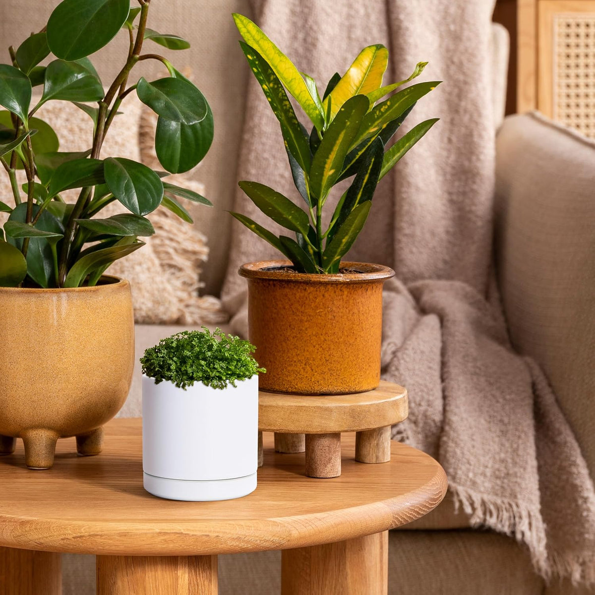 D'vine Dev 4.7 Inch Ceramic Planter Pot with Drainage Hole and Saucer, Indoor Cylinder Round Planter Pot, Teal, 94-O-B-9