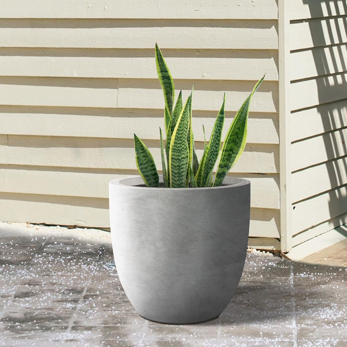 Kante 8.9" H x 10" W Small Concrete Planter, Compact Desktop Plant Pot with Drainage Hole & Rubber Plug – Lightweight Breathable Cement Container for Succulents, Cactus, Herbs, Indoor Outdoor, Gift
